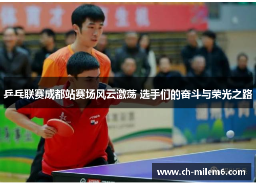 乒乓联赛成都站赛场风云激荡 选手们的奋斗与荣光之路
