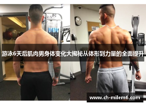 游泳6天后肌肉男身体变化大揭秘从体形到力量的全面提升