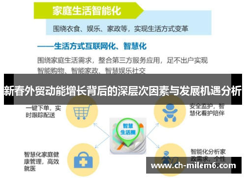 新春外贸动能增长背后的深层次因素与发展机遇分析