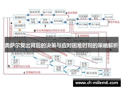 奥萨尔复出背后的决策与应对困难时刻的策略解析