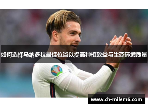 如何选择马纳多拉最佳位置以提高种植效益与生态环境质量