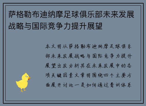 萨格勒布迪纳摩足球俱乐部未来发展战略与国际竞争力提升展望