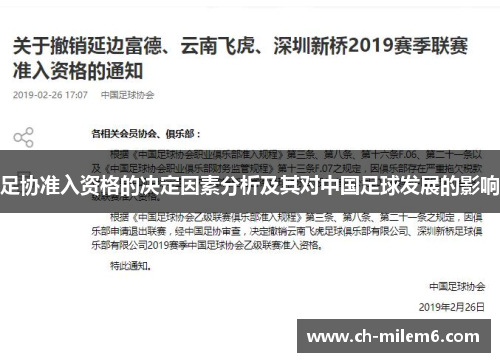 足协准入资格的决定因素分析及其对中国足球发展的影响 足协准入资格的决定因素分析及其对中国足球发展的影响