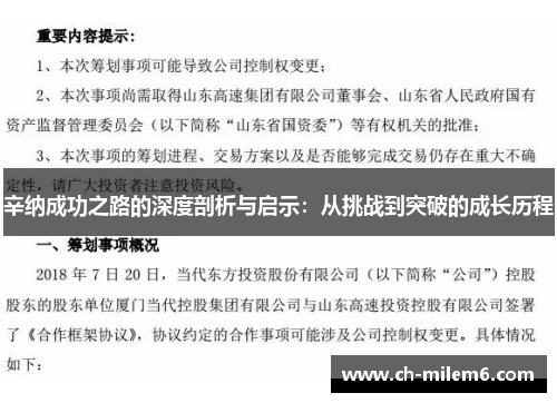 辛纳成功之路的深度剖析与启示：从挑战到突破的成长历程