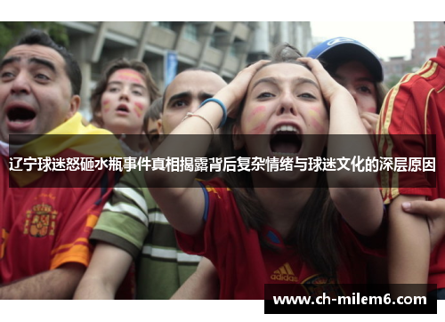 辽宁球迷怒砸水瓶事件真相揭露背后复杂情绪与球迷文化的深层原因