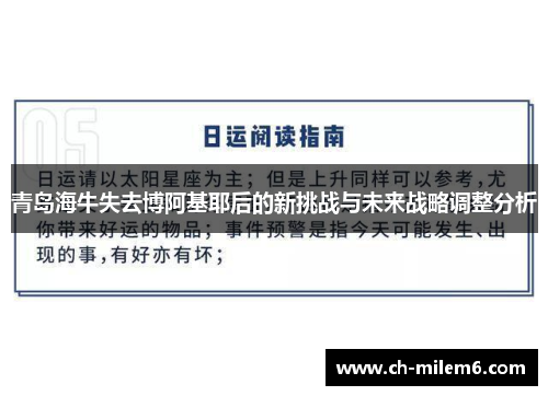青岛海牛失去博阿基耶后的新挑战与未来战略调整分析 青岛海牛失去博阿基耶后的新挑战与未来战略调整分析