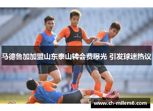 马德鲁加加盟山东泰山转会费曝光 引发球迷热议