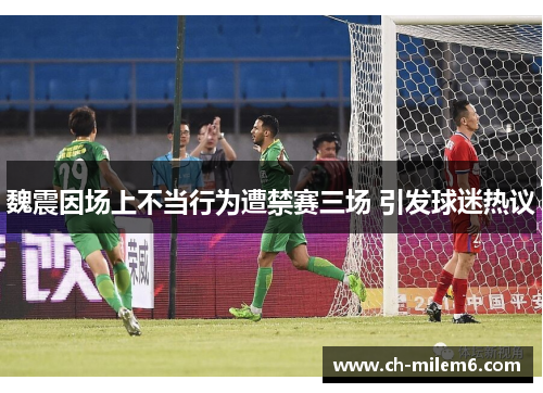 魏震因场上不当行为遭禁赛三场 引发球迷热议